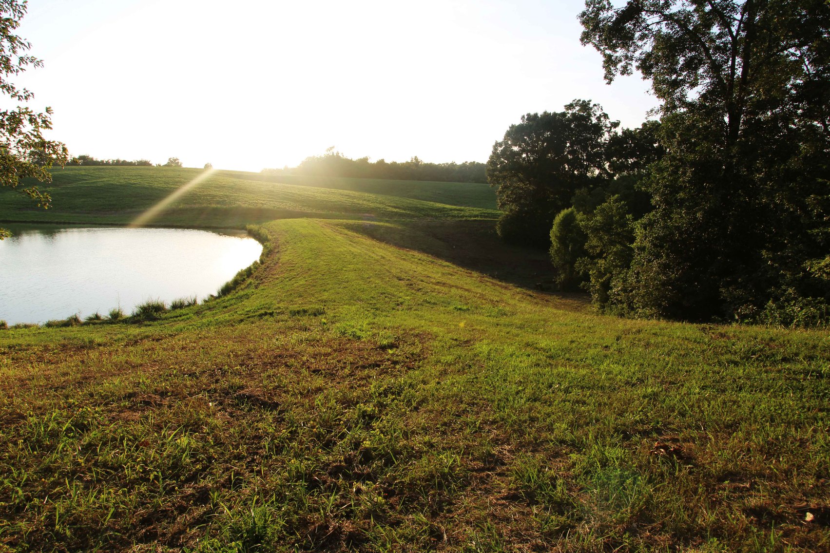 Image for 44.91 Acres +/-, Off of PCR 316, Perryville, MO 63775, MLS # 25050119