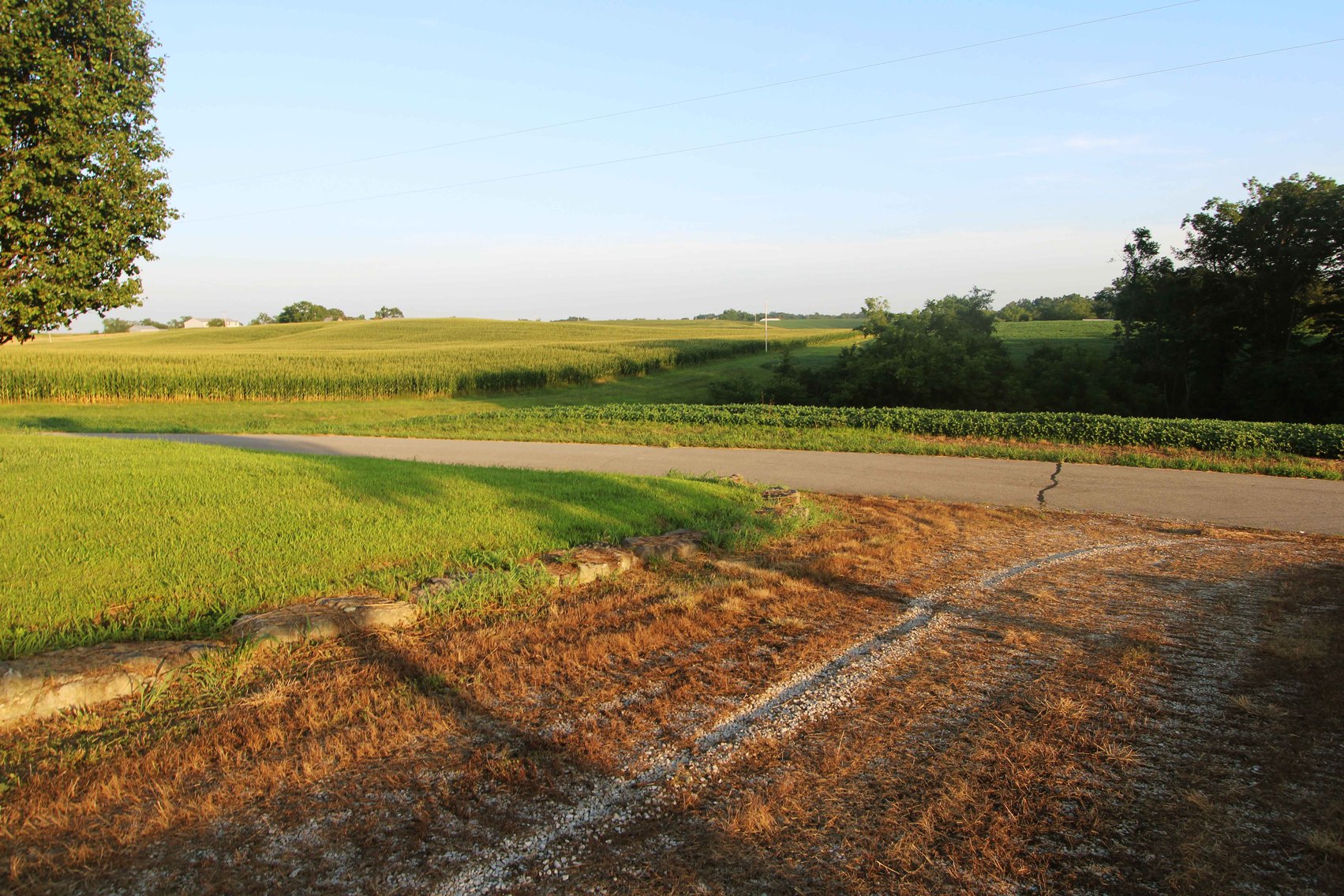 Image for 44.91 Acres +/-, Off of PCR 316, Perryville, MO 63775, MLS # 25050119