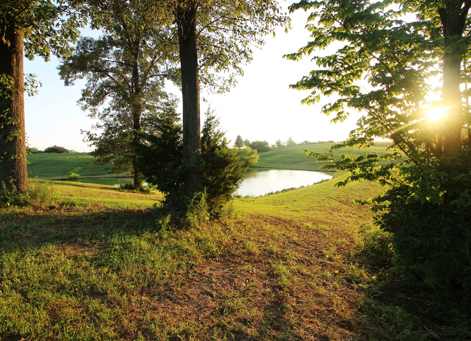 Image for 44.91 Acres +/-, Off of PCR 316, Perryville, MO 63775, MLS # 25050119