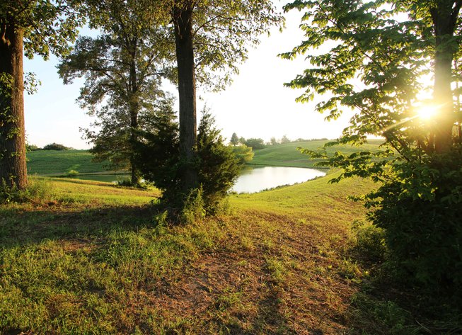 Image for 44.91 Acres +/-, Off of PCR 316, Perryville, MO 63775, MLS # 25050119