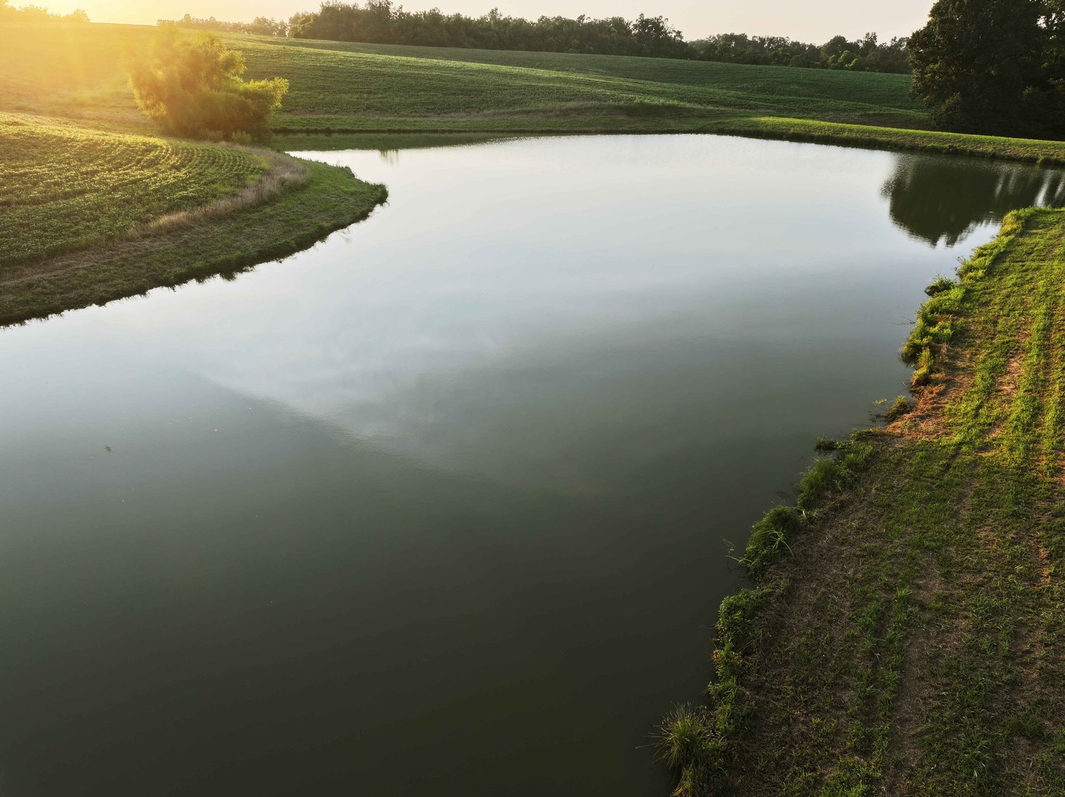 Image for 44.91 Acres +/-, Off of PCR 316, Perryville, MO 63775, MLS # 25050119