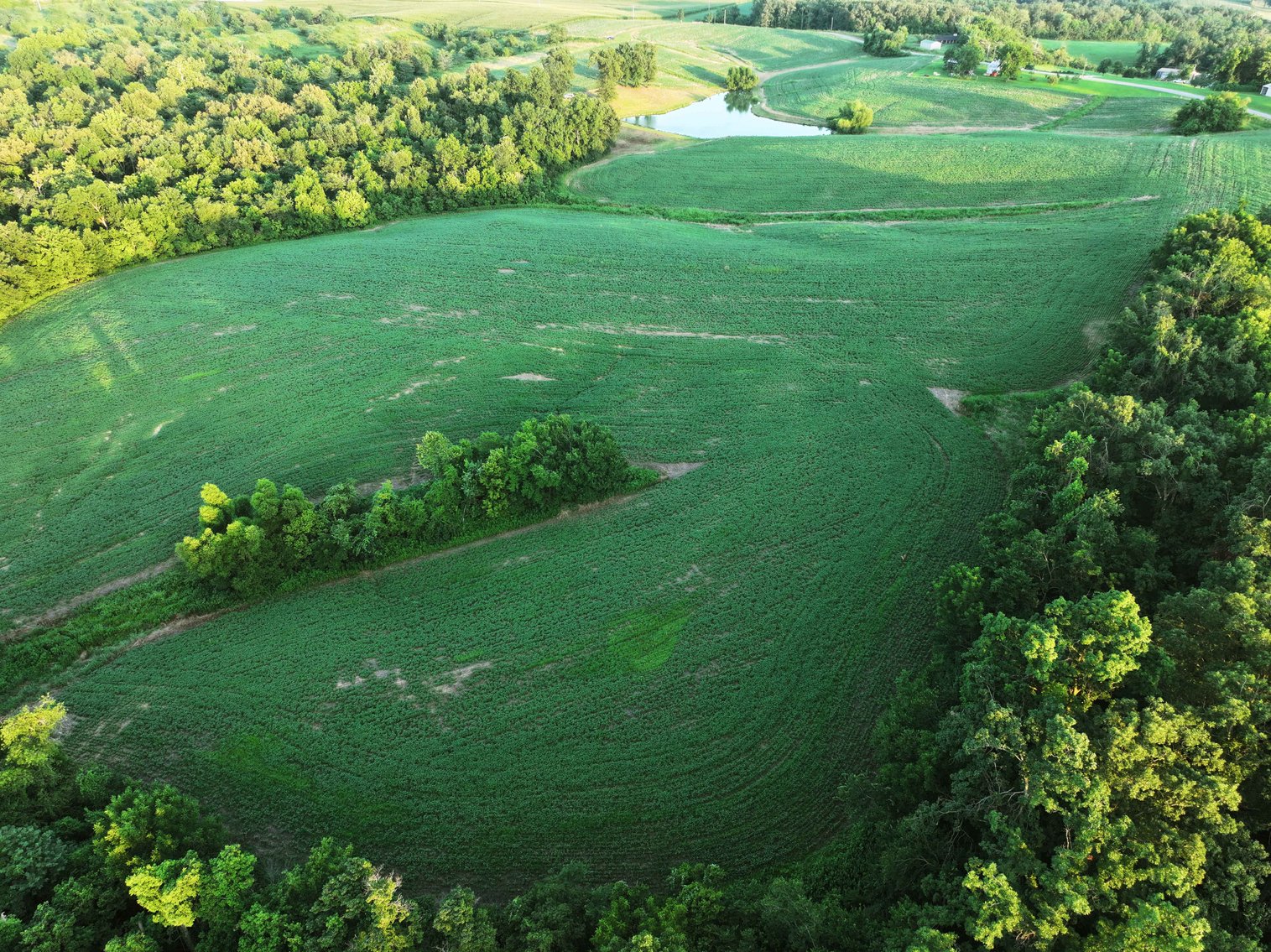 Image for 44.91 Acres +/-, Off of PCR 316, Perryville, MO 63775, MLS # 25050119