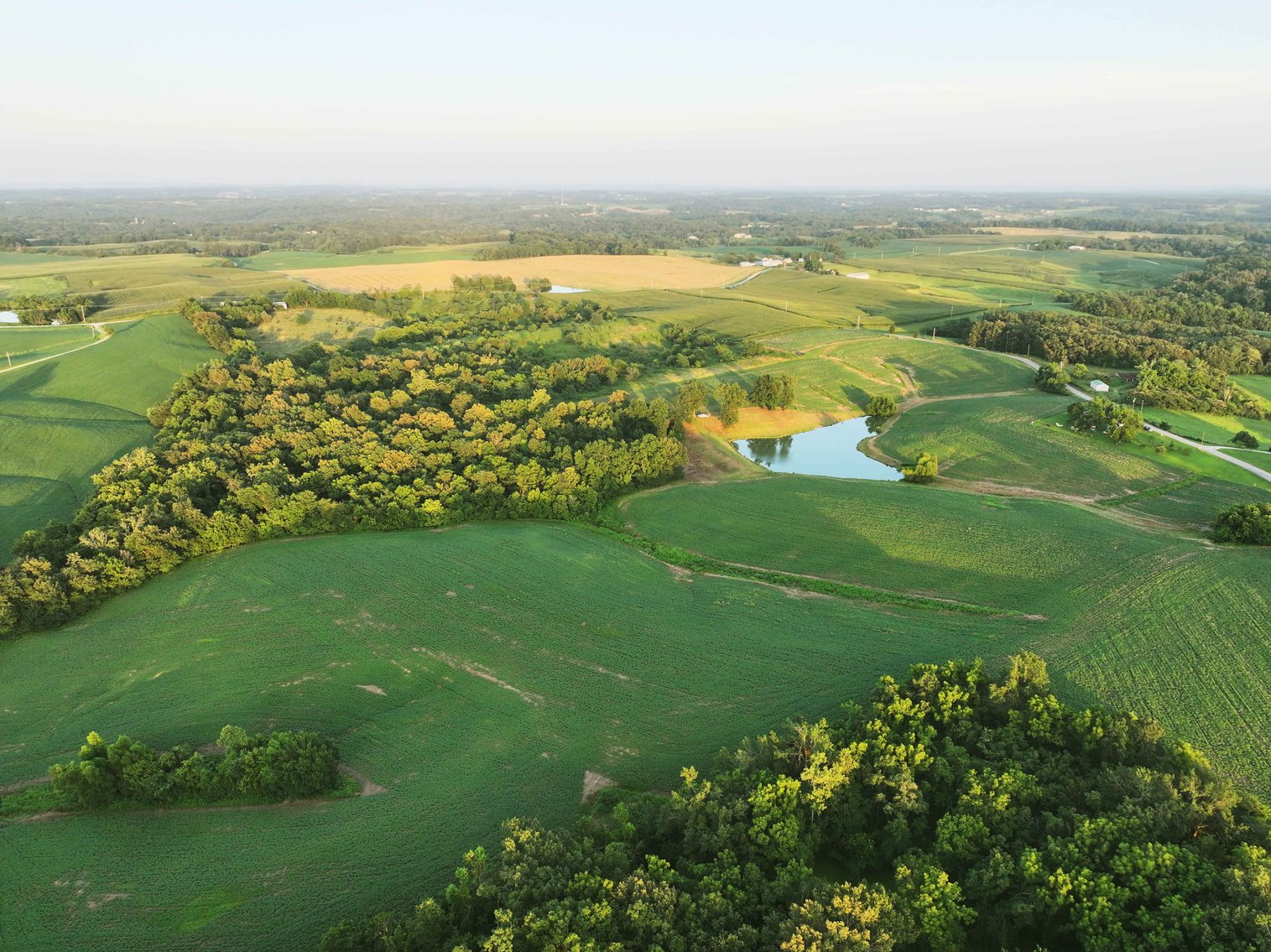 Image for 44.91 Acres +/-, Off of PCR 316, Perryville, MO 63775, MLS # 25050119