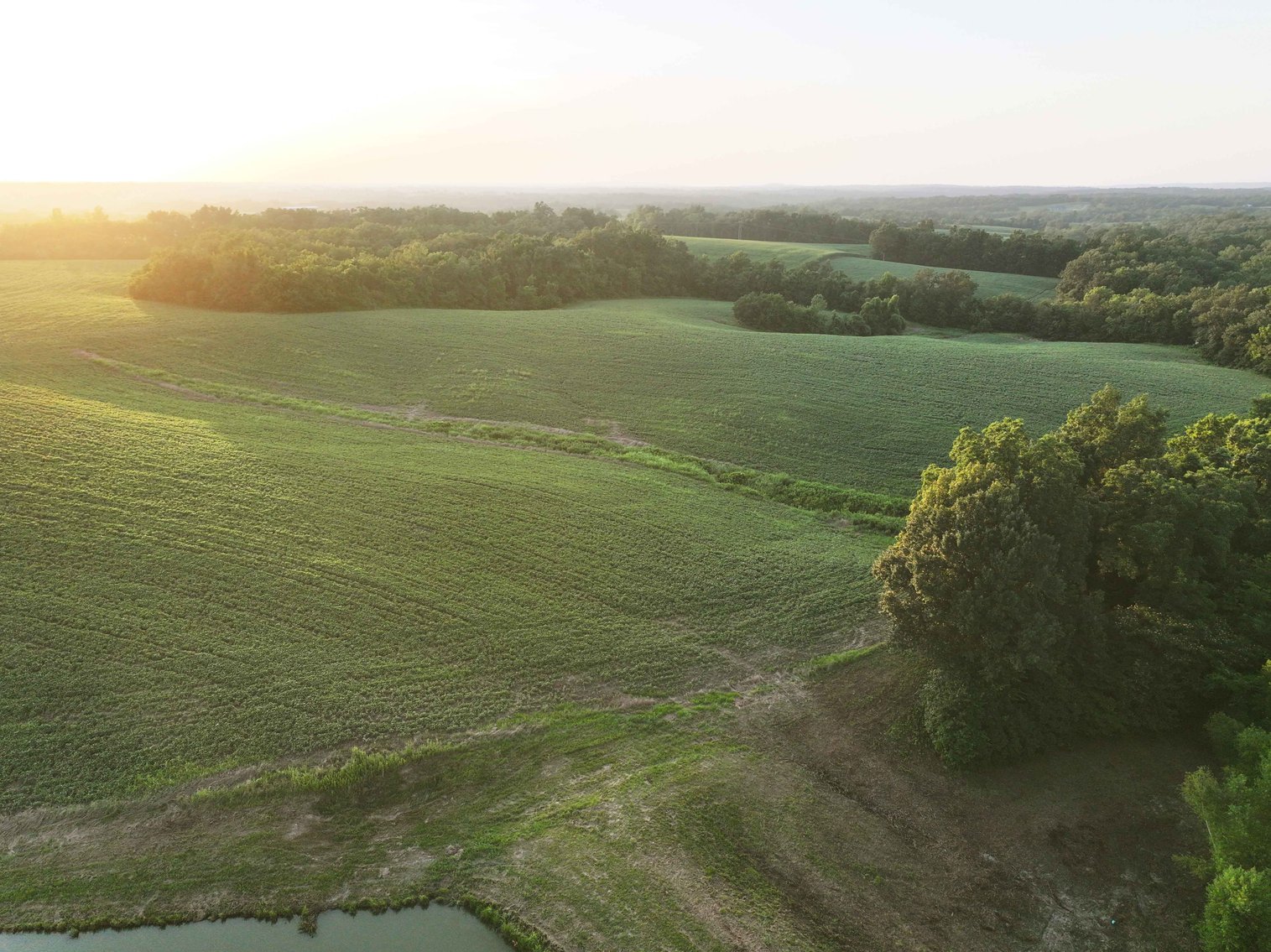 Image for 44.91 Acres +/-, Off of PCR 316, Perryville, MO 63775, MLS # 25050119