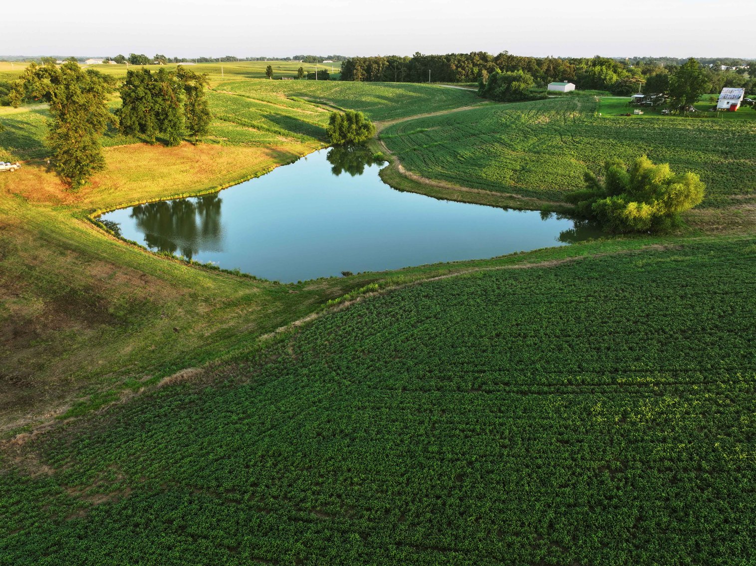 Image for 44.91 Acres +/-, Off of PCR 316, Perryville, MO 63775, MLS # 25050119