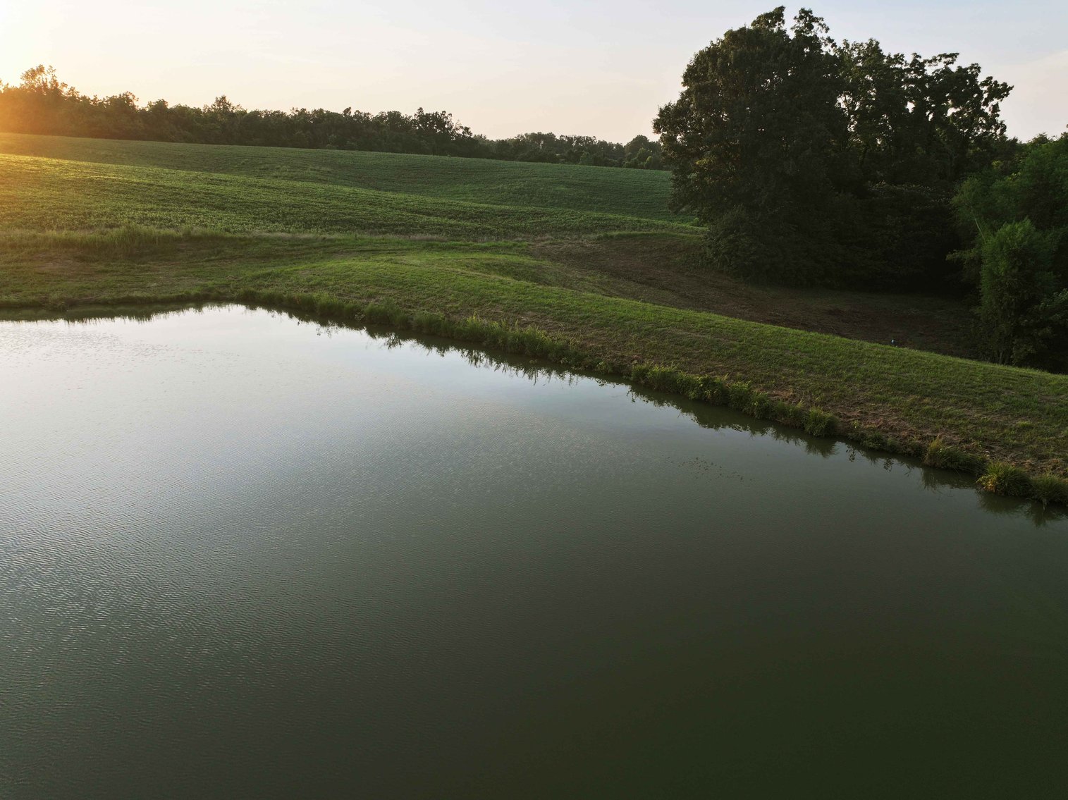 Image for 44.91 Acres +/-, Off of PCR 316, Perryville, MO 63775, MLS # 25050119