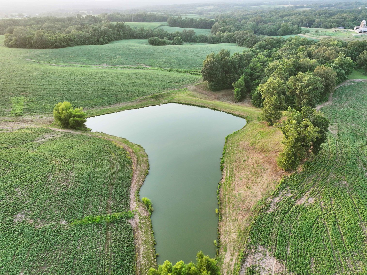 Image for 44.91 Acres +/-, Off of PCR 316, Perryville, MO 63775, MLS # 25050119