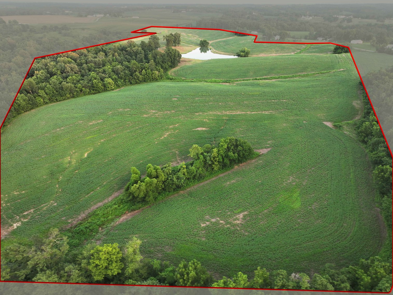 Image for 44.91 Acres +/-, Off of PCR 316, Perryville, MO 63775, MLS # 25050119