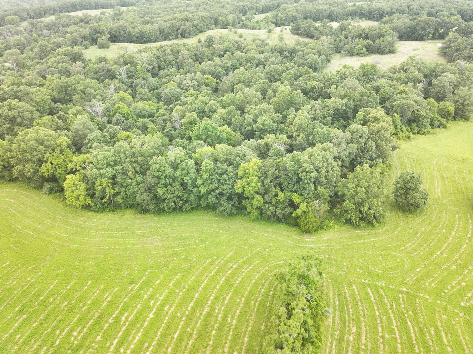 Image for 27.97 Ac m/l, Off BCR 200, Sedgewickville MO 63781, MLS # 25052531