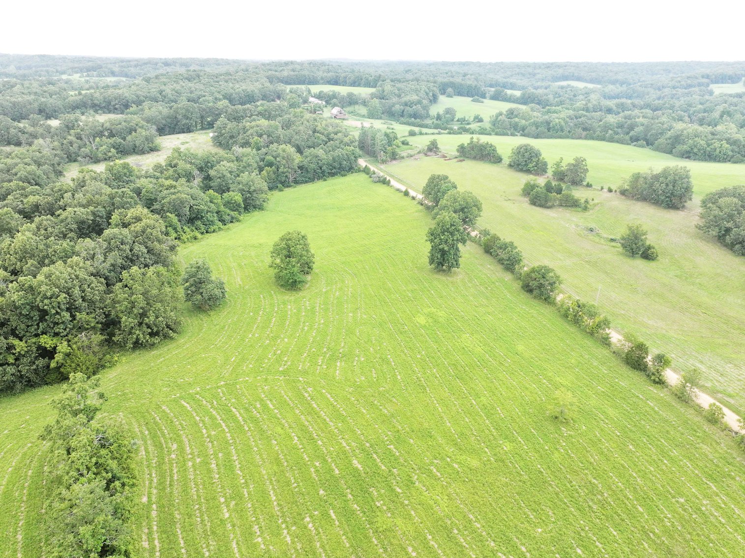Image for 27.97 Ac m/l, Off BCR 200, Sedgewickville MO 63781, MLS # 25052531