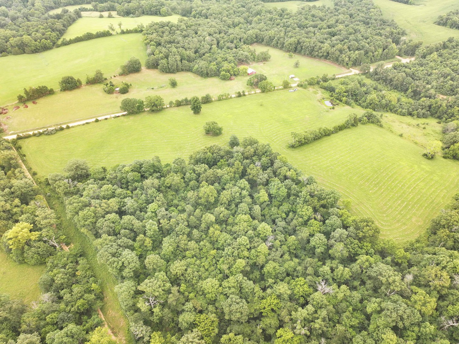 Image for 27.97 Ac m/l, Off BCR 200, Sedgewickville MO 63781, MLS # 25052531