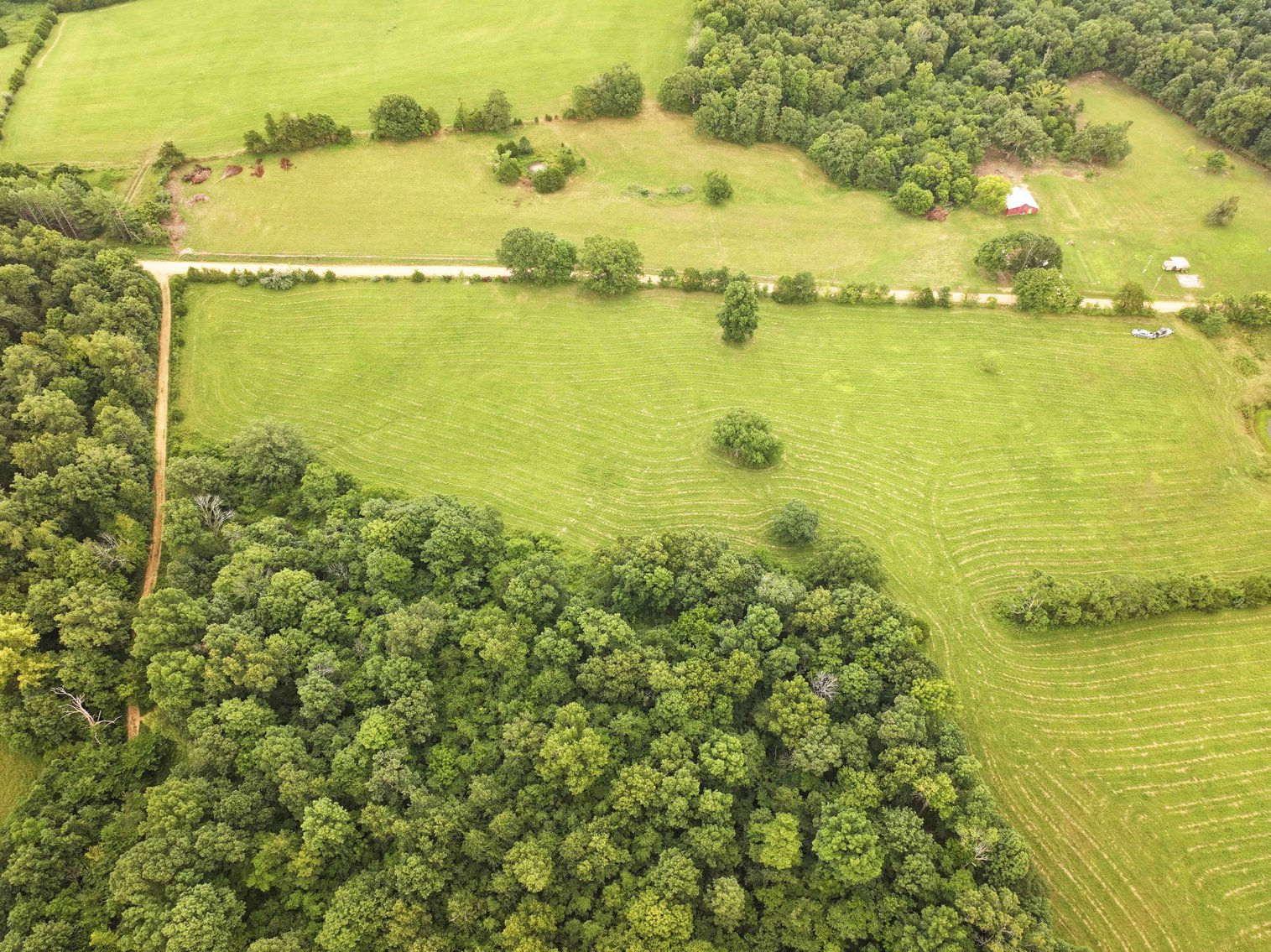 Image for 27.97 Ac m/l, Off BCR 200, Sedgewickville MO 63781, MLS # 25052531