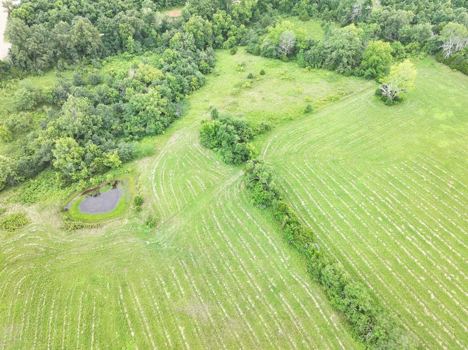 Image for 27.97 Ac m/l, Off BCR 200, Sedgewickville MO 63781, MLS # 25052531