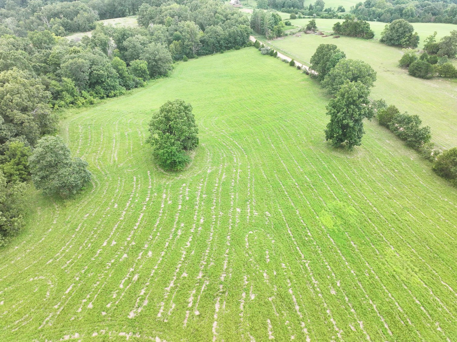 Image for 27.97 Ac m/l, Off BCR 200, Sedgewickville MO 63781, MLS # 25052531