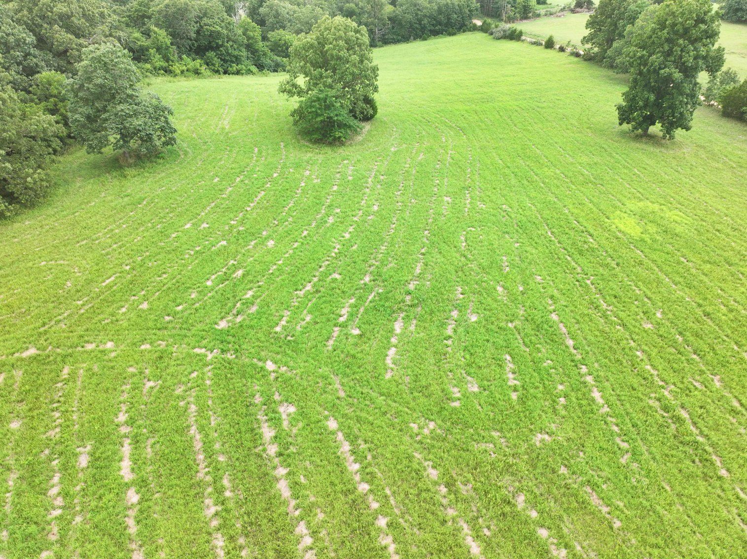 Image for 27.97 Ac m/l, Off BCR 200, Sedgewickville MO 63781, MLS # 25052531