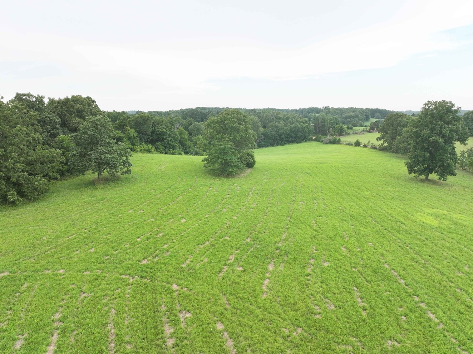 Image for 27.97 Ac m/l, Off BCR 200, Sedgewickville MO 63781, MLS # 25052531