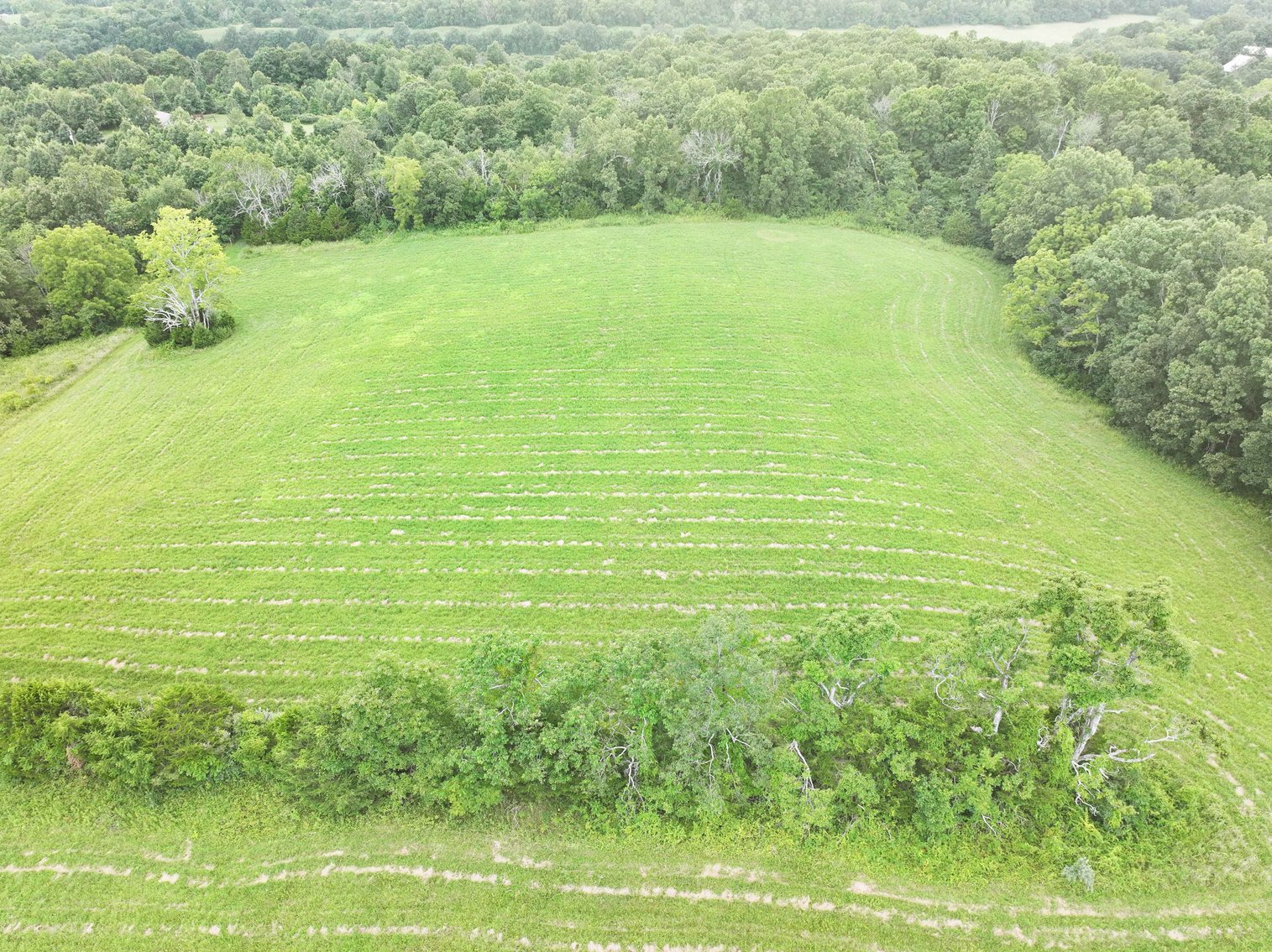 Image for 27.97 Ac m/l, Off BCR 200, Sedgewickville MO 63781, MLS # 25052531