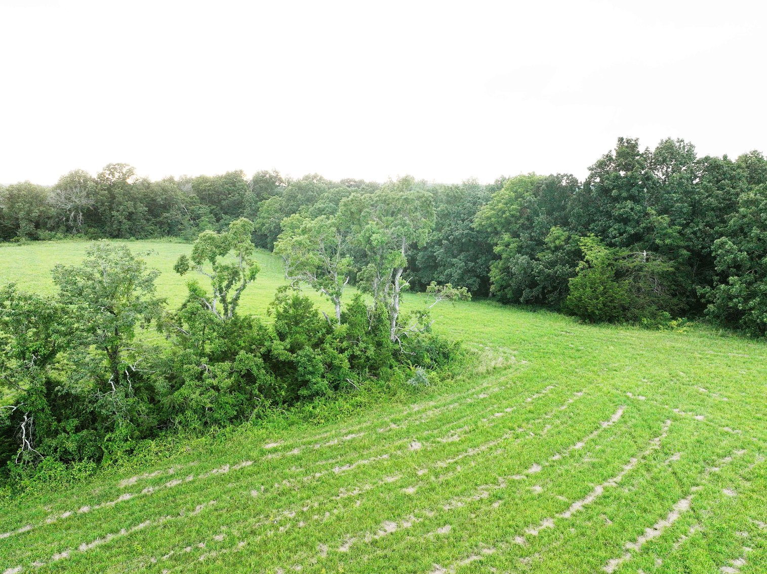 Image for 27.97 Ac m/l, Off BCR 200, Sedgewickville MO 63781, MLS # 25052531