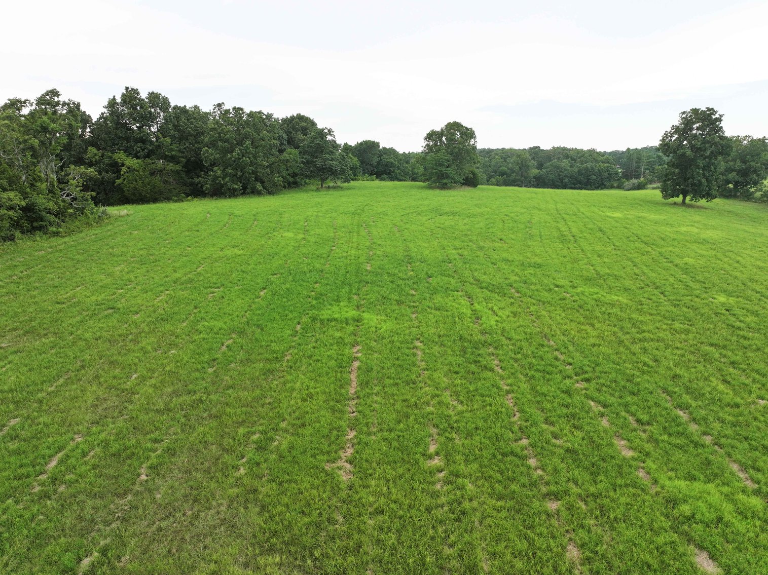 Image for 27.97 Ac m/l, Off BCR 200, Sedgewickville MO 63781, MLS # 25052531