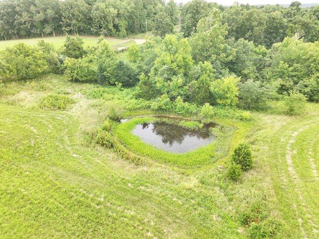 Image for 27.97 Ac m/l, Off BCR 200, Sedgewickville MO 63781, MLS # 25052531