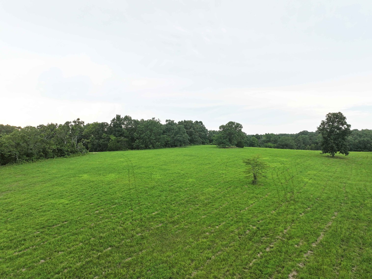 Image for 27.97 Ac m/l, Off BCR 200, Sedgewickville MO 63781, MLS # 25052531