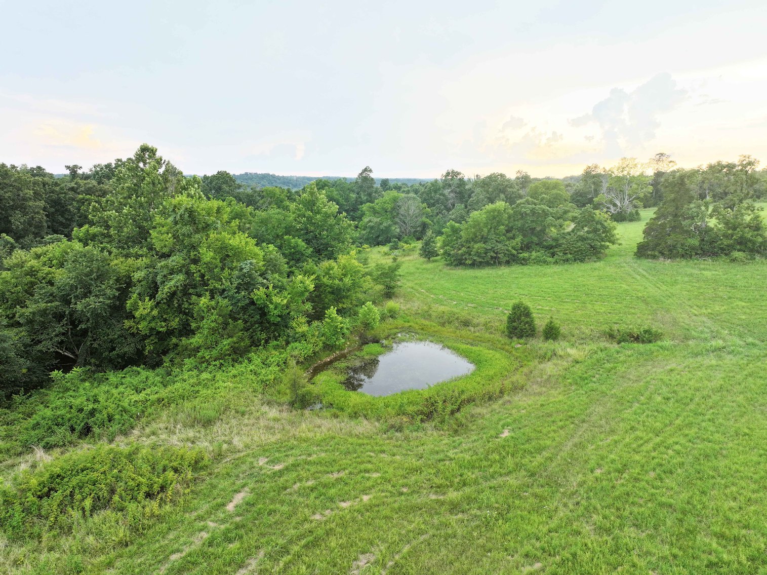 Image for 27.97 Ac m/l, Off BCR 200, Sedgewickville MO 63781, MLS # 25052531