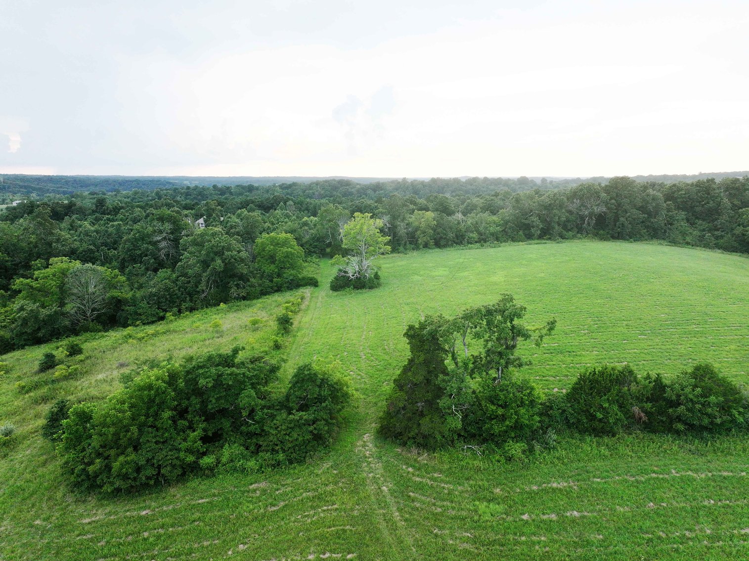 Image for 27.97 Ac m/l, Off BCR 200, Sedgewickville MO 63781, MLS # 25052531