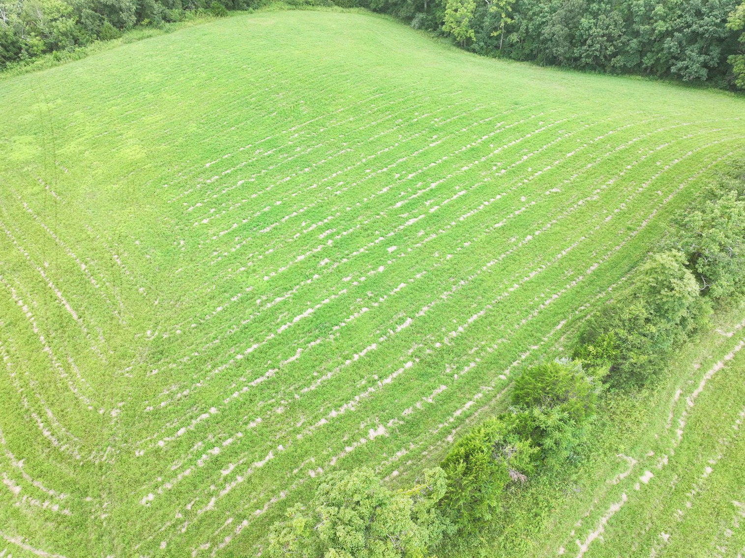 Image for 27.97 Ac m/l, Off BCR 200, Sedgewickville MO 63781, MLS # 25052531