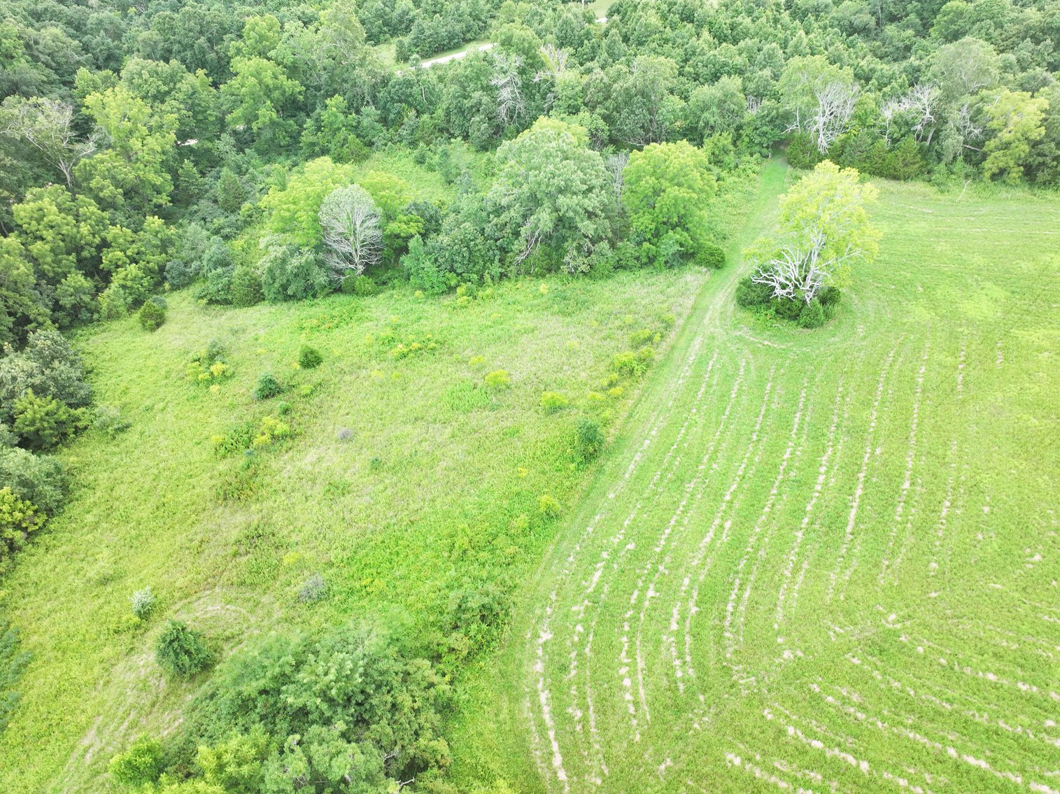 Image for 27.97 Ac m/l, Off BCR 200, Sedgewickville MO 63781, MLS # 25052531