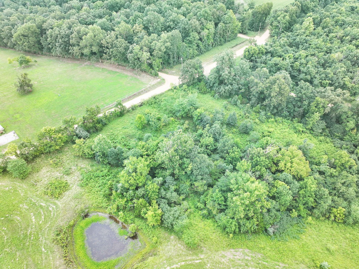 Image for 27.97 Ac m/l, Off BCR 200, Sedgewickville MO 63781, MLS # 25052531