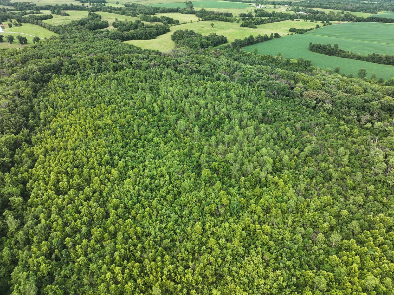 Image for 340 Acres M/L, 0 Mcallister Rd, Houstonia, MO 65333, MLS #25066891