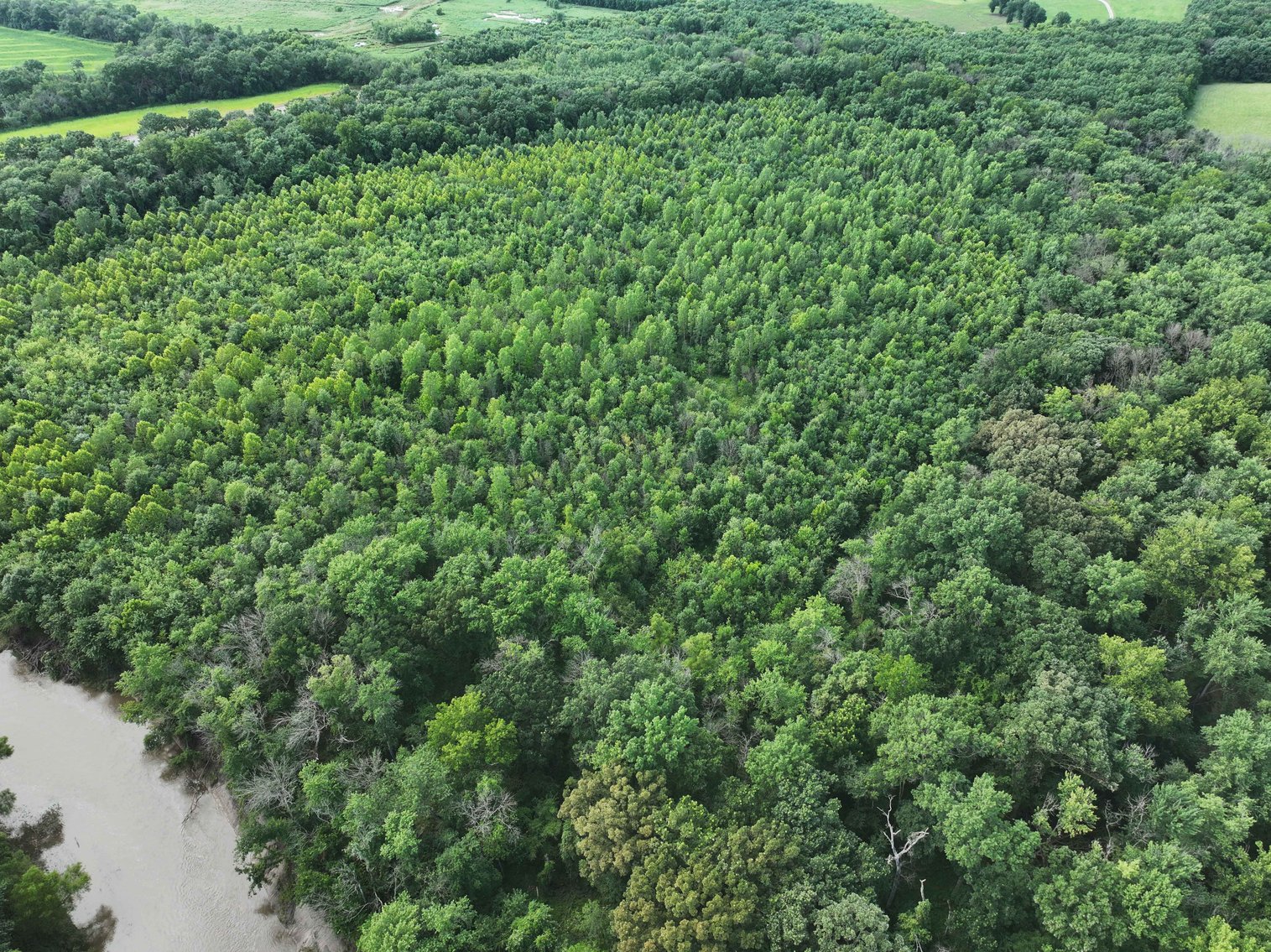 Image for 340 Acres M/L, 0 Mcallister Rd, Houstonia, MO 65333, MLS #25066891