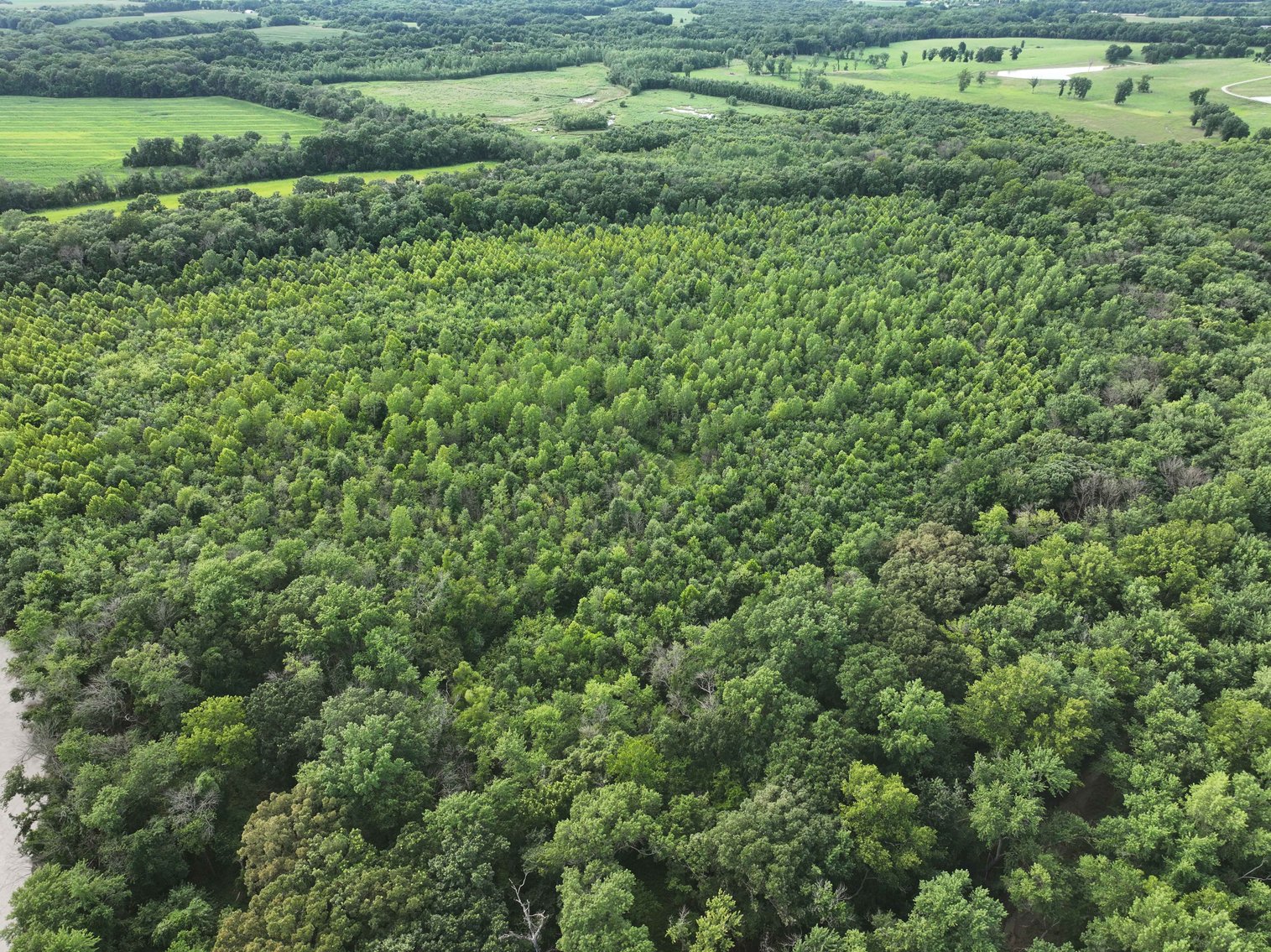 Image for 340 Acres M/L, 0 Mcallister Rd, Houstonia, MO 65333, MLS #25066891