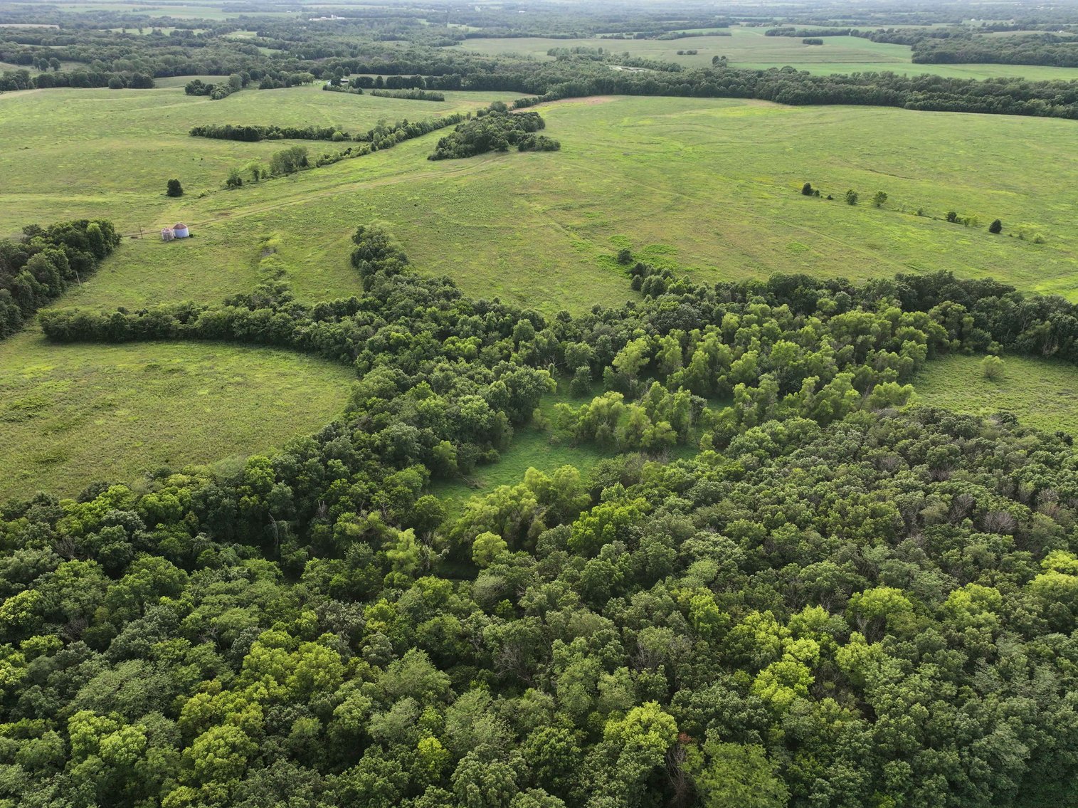 Image for 340 Acres M/L, 0 Mcallister Rd, Houstonia, MO 65333, MLS #25066891