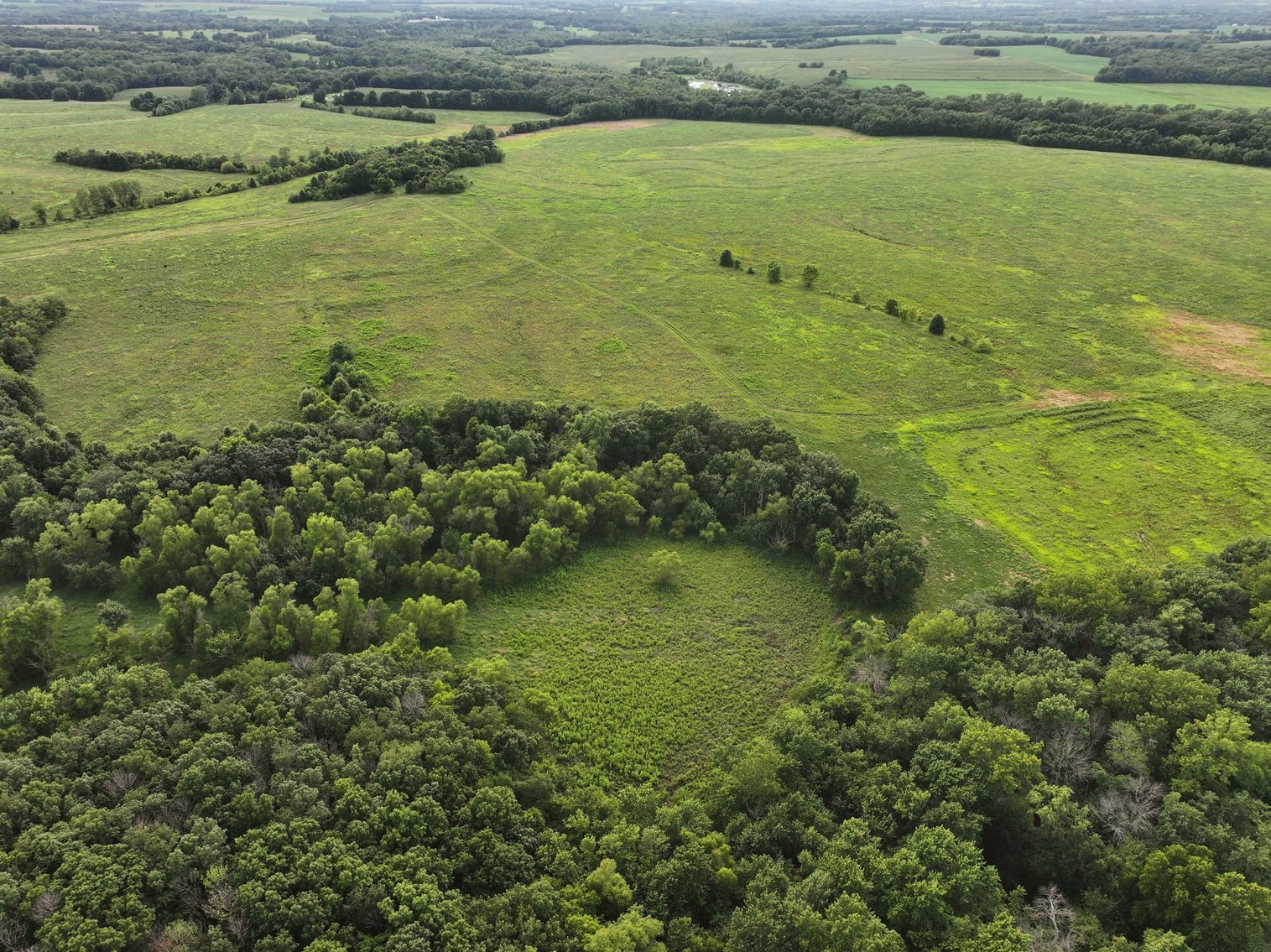 Image for 340 Acres M/L, 0 Mcallister Rd, Houstonia, MO 65333, MLS #25066891