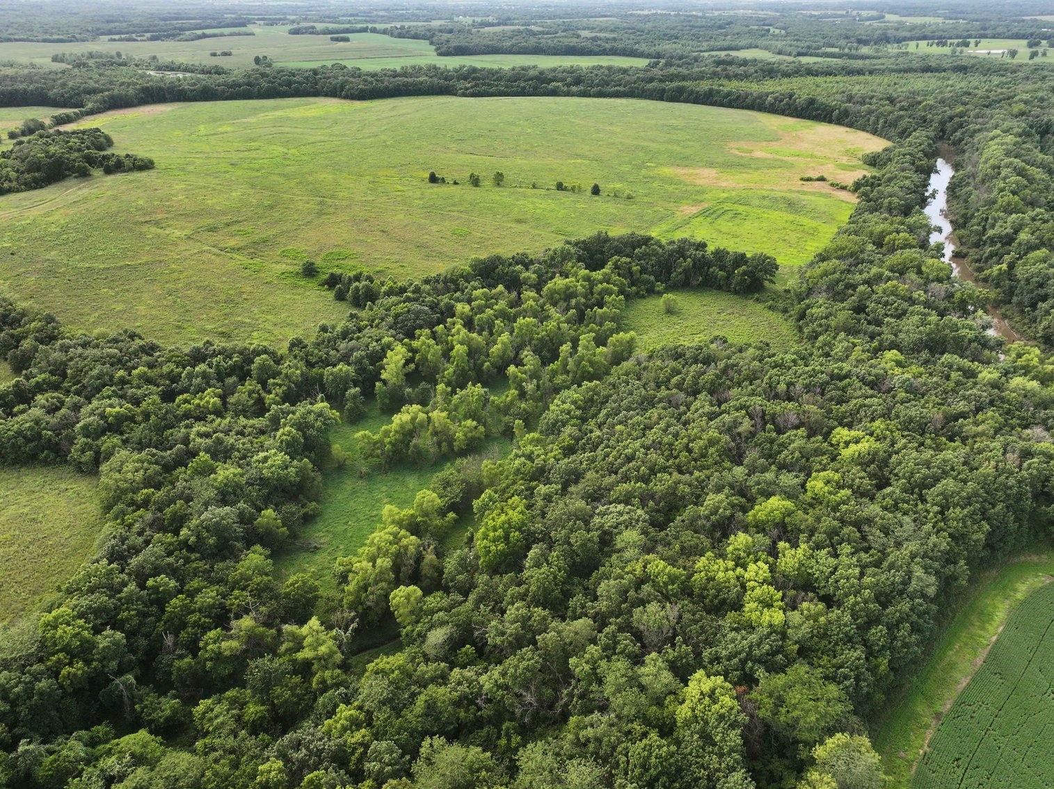 Image for 340 Acres M/L, 0 Mcallister Rd, Houstonia, MO 65333, MLS #25066891