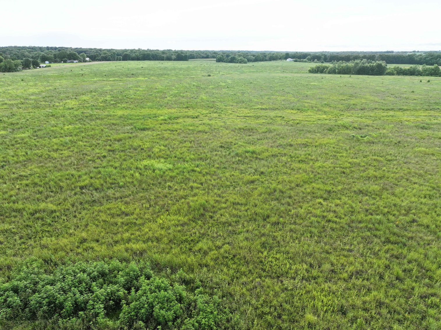 Image for 340 Acres M/L, 0 Mcallister Rd, Houstonia, MO 65333, MLS #25066891