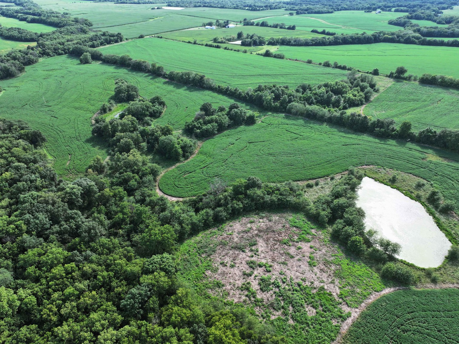 Image for 276.66 Acres M/L, 0 McAllister Road Houstonia, MO 65333, MLS #25030759