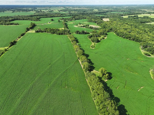 Image for 276.66 Acres M/L, 0 McAllister Road Houstonia, MO 65333, MLS #25030759