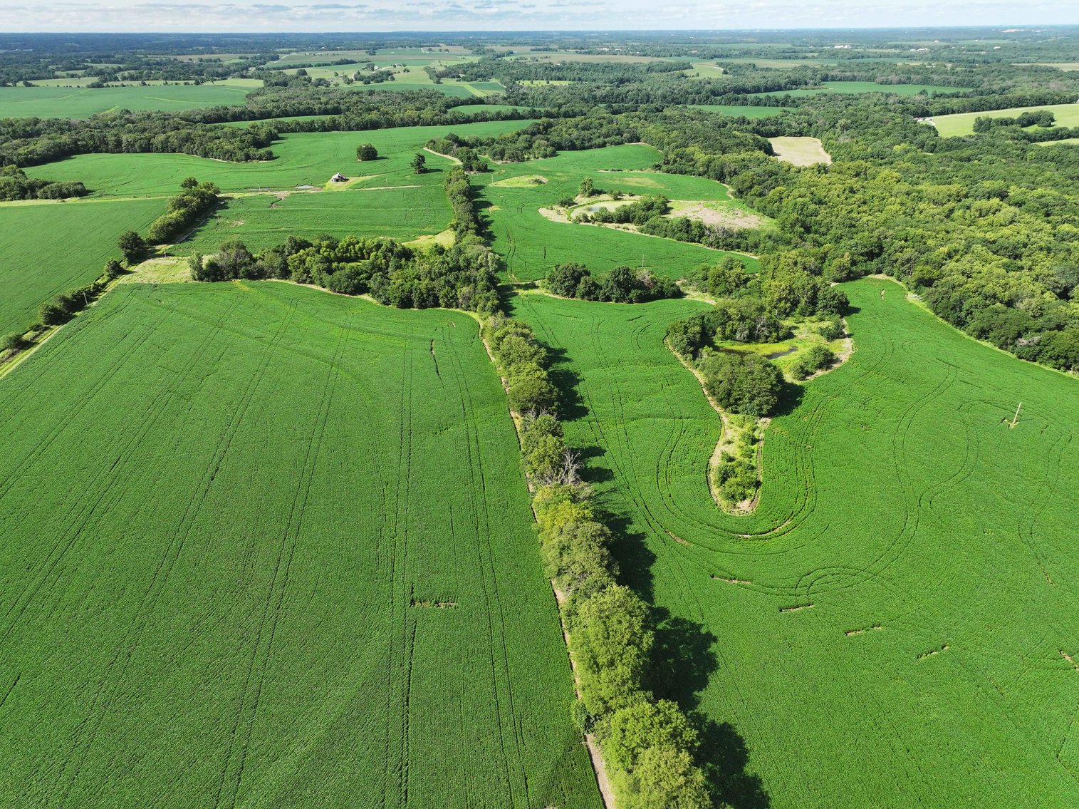 Image for 276.66 Acres M/L, 0 McAllister Road Houstonia, MO 65333, MLS #25030759