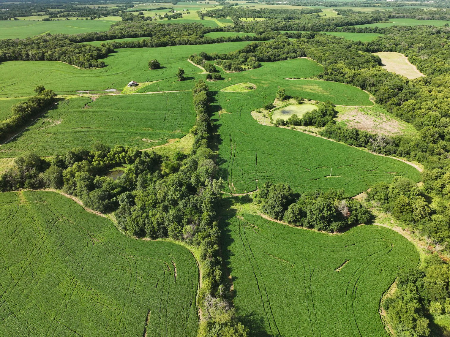 Image for 276.66 Acres M/L, 0 McAllister Road Houstonia, MO 65333, MLS #25030759