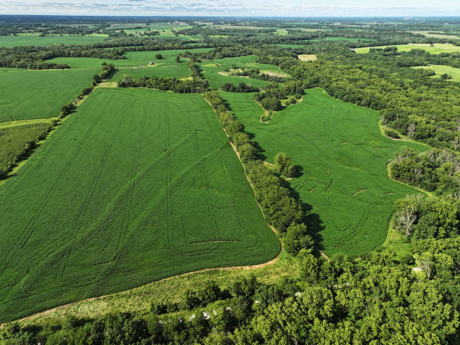 Image for 276.66 Acres M/L, 0 McAllister Road Houstonia, MO 65333, MLS #25030759