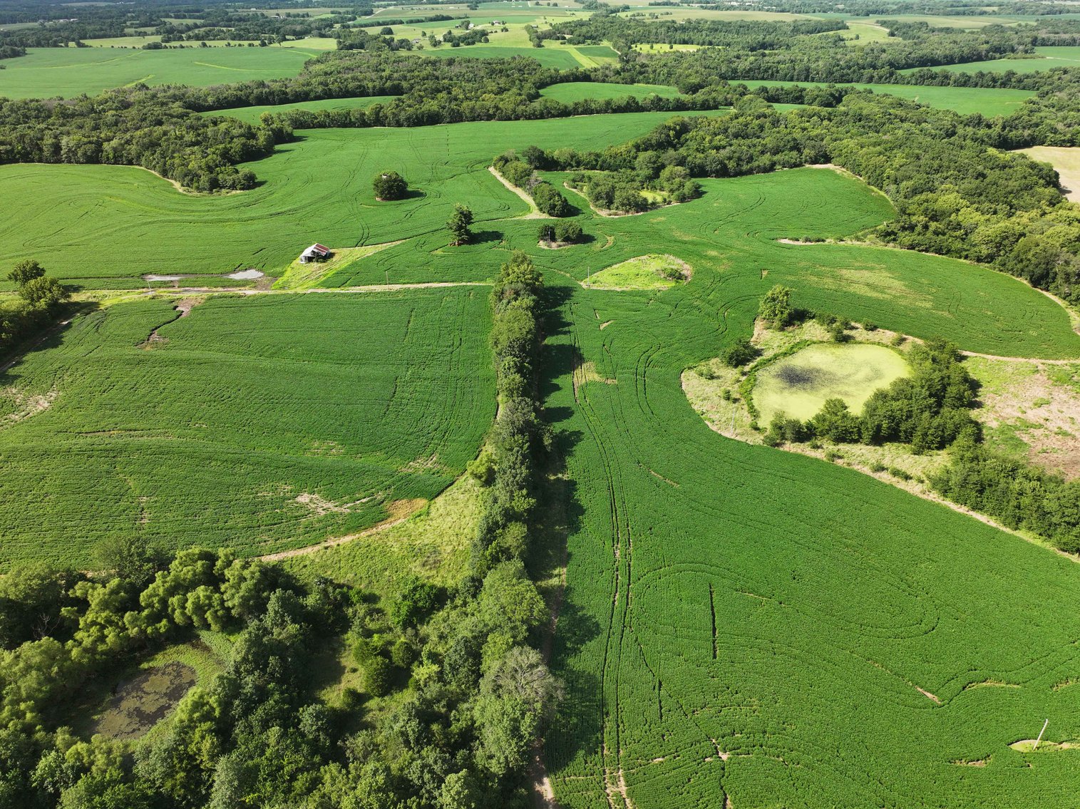 Image for 276.66 Acres M/L, 0 McAllister Road Houstonia, MO 65333, MLS #25030759