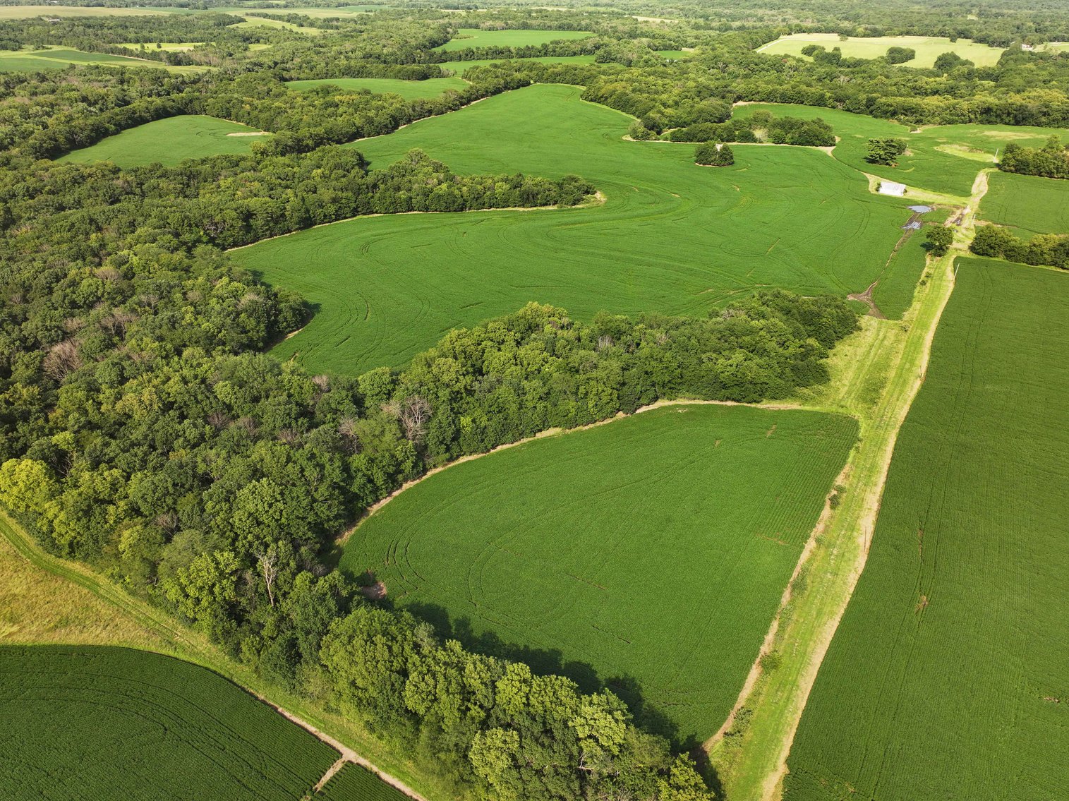 Image for 276.66 Acres M/L, 0 McAllister Road Houstonia, MO 65333, MLS #25030759