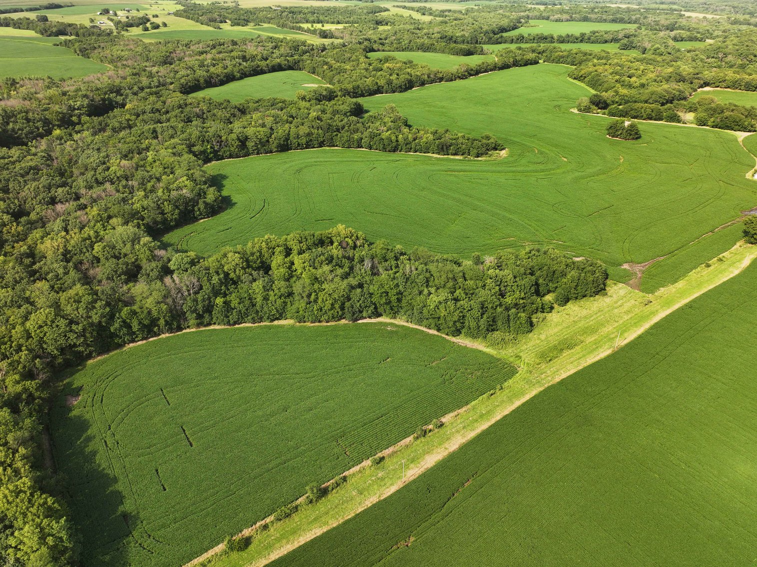 Image for 276.66 Acres M/L, 0 McAllister Road Houstonia, MO 65333, MLS #25030759