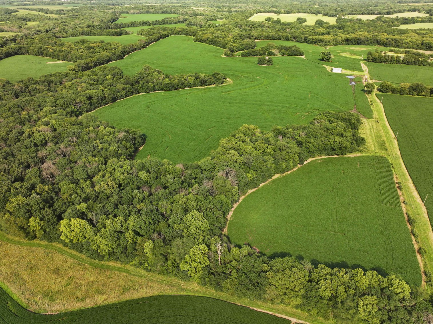 Image for 276.66 Acres M/L, 0 McAllister Road Houstonia, MO 65333, MLS #25030759