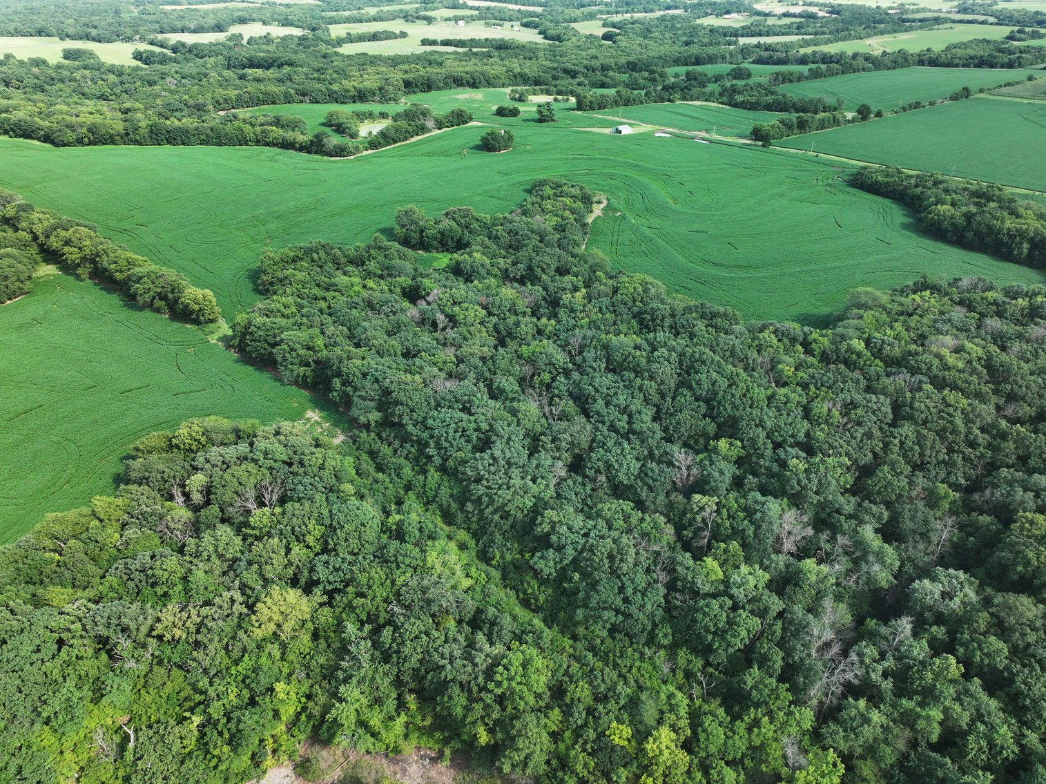 Image for 276.66 Acres M/L, 0 McAllister Road Houstonia, MO 65333, MLS #25030759