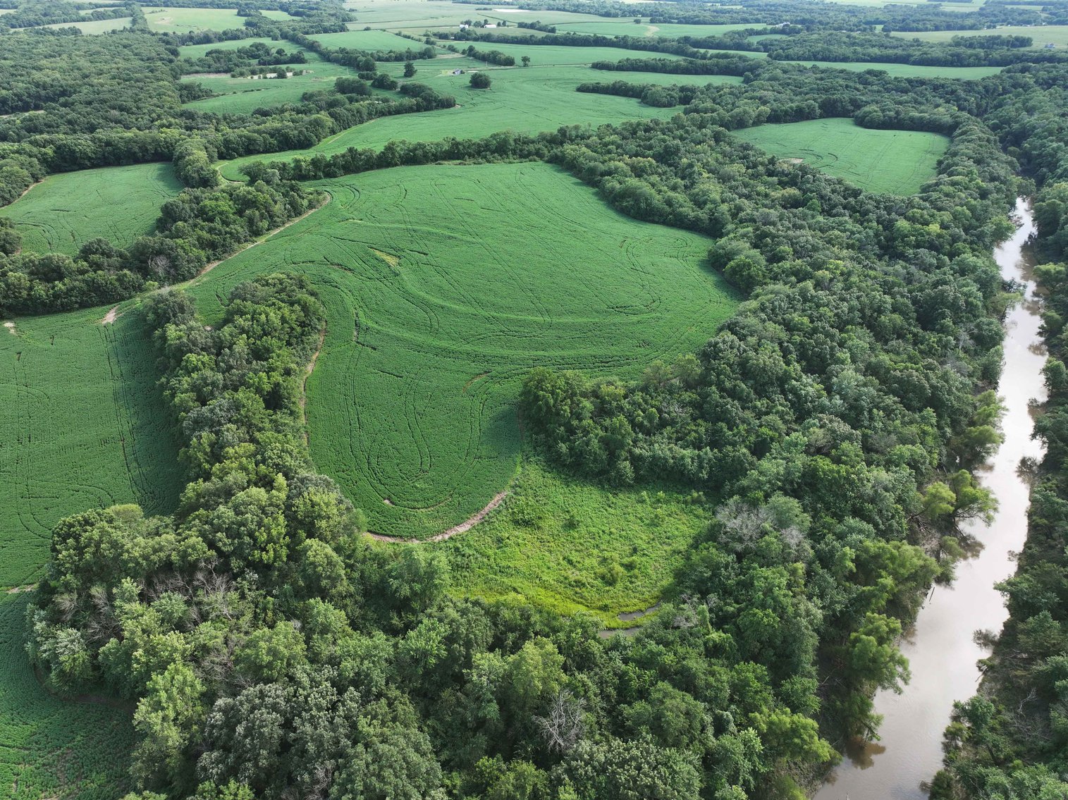 Image for 276.66 Acres M/L, 0 McAllister Road Houstonia, MO 65333, MLS #25030759