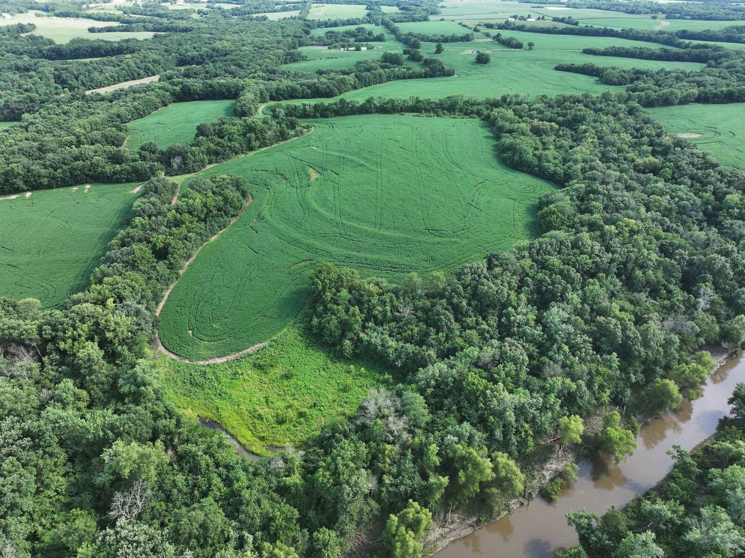 Image for 276.66 Acres M/L, 0 McAllister Road Houstonia, MO 65333, MLS #25030759