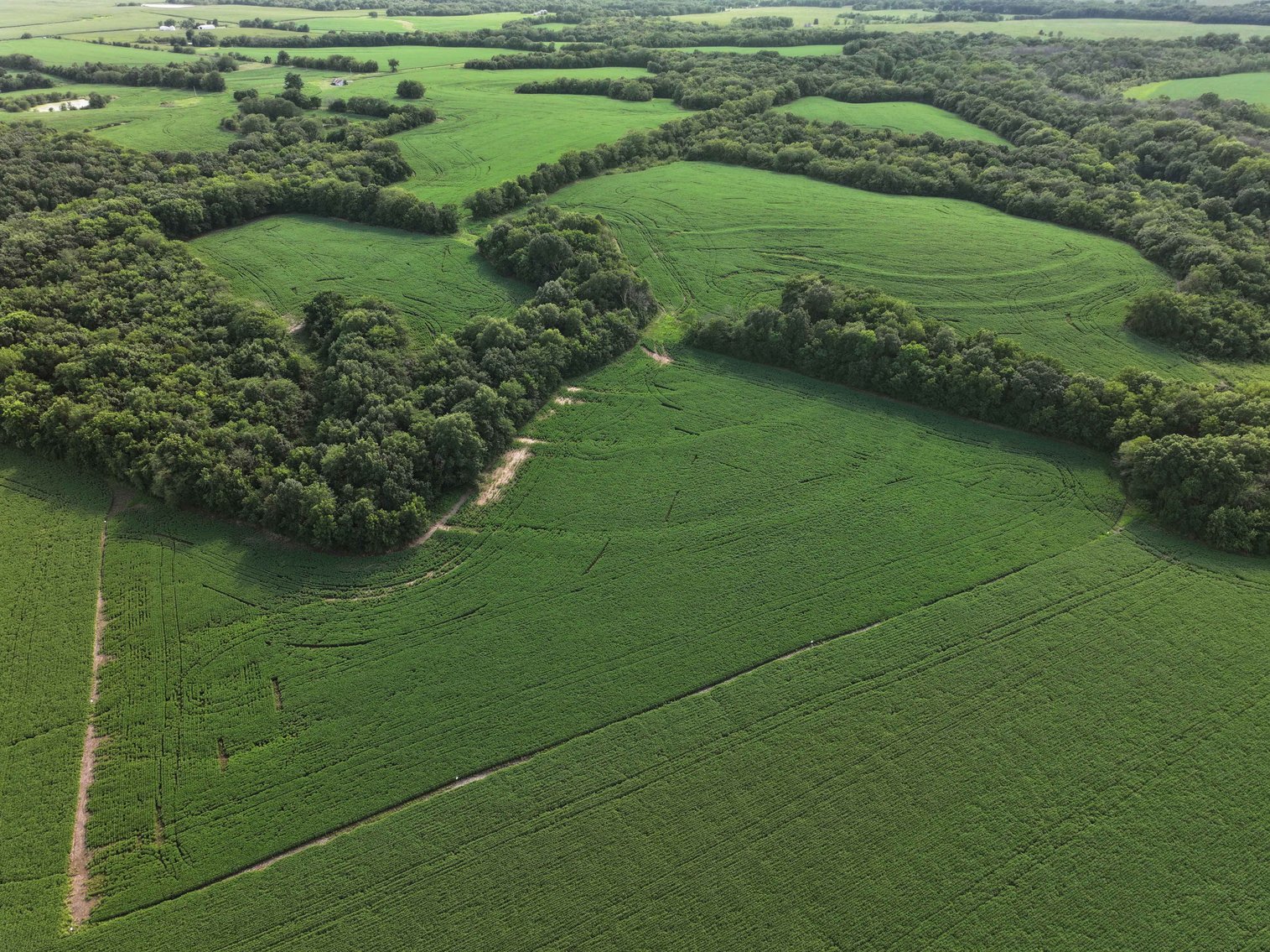 Image for 276.66 Acres M/L, 0 McAllister Road Houstonia, MO 65333, MLS #25030759